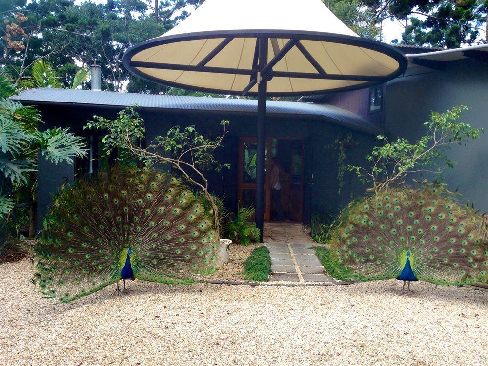 Azabu Retreat & Spa Byron Bay Exterior photo
